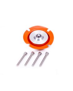 Regulator Service Kit  AEROMOTIVE 13008