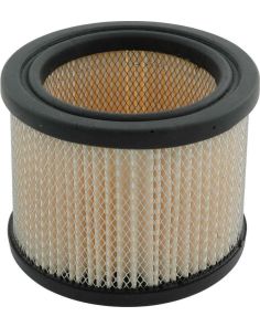 Filter for Driver Air System ALLSTAR PERFORMANCE ALL13014