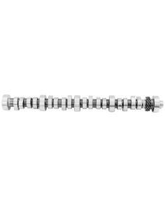 302 Hyd Roller Camshaft  FORD M-6250-B303