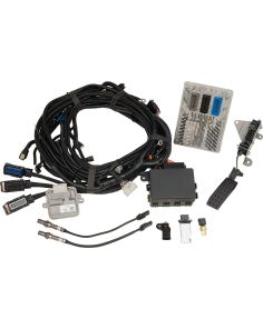 Engine Controller Kit  CHEVROLET PERFORMANCE 19419241