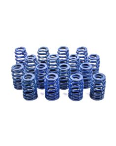 604 Beehive Valve Springs 16 CHEVROLET PERFORMANCE 19420455