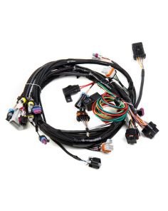 Main Wiring Harness LS1 & LS6 HOLLEY 558-102