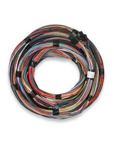 HOLLEY 558-126 Flying Lead Main Harness 