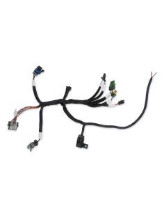 HOLLEY 558-127 Bench-Top EFI Test Harness
