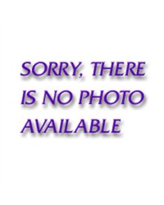 1/2" Non-Quick Release Ratchet Repair Kit (dual pa GearWrench 81339P