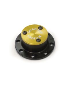 Cambered Drive Flange 8 Bolt Wide 5 QUARTER MASTER 176310
