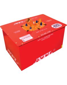 ATL Racing Fuel Cells  SU222B 22 gallon Super Cell “200”, 25.13”x16.75”x13.75”, FIA FT3.5