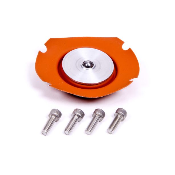 Regulator Service Kit  AEROMOTIVE 13001