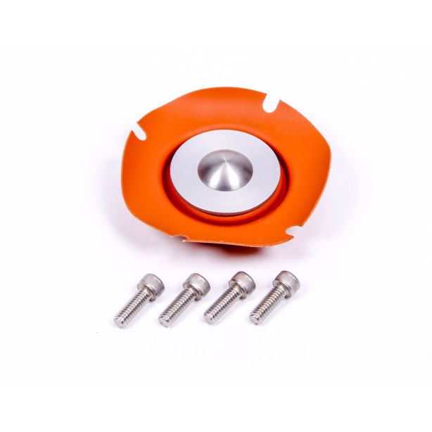Regulator Service Kit  AEROMOTIVE 13006