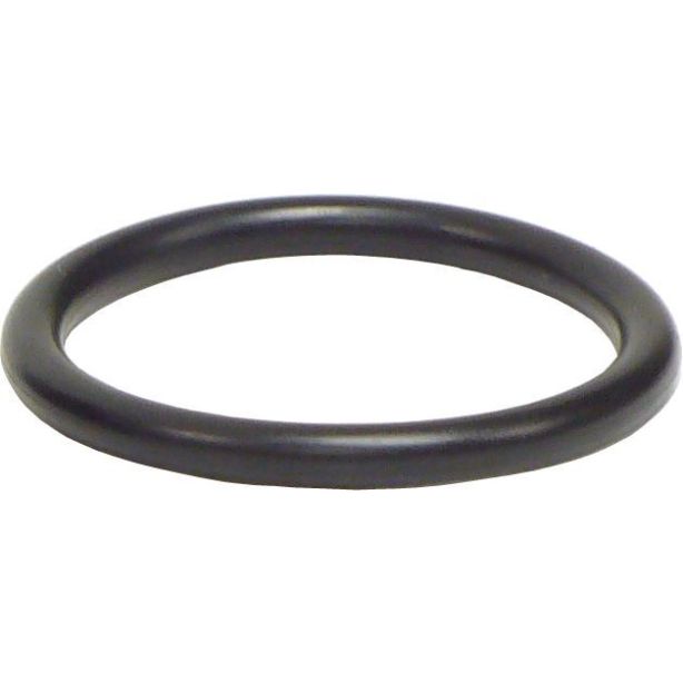 O-Ring  BRINN TRANSMISSION 71063