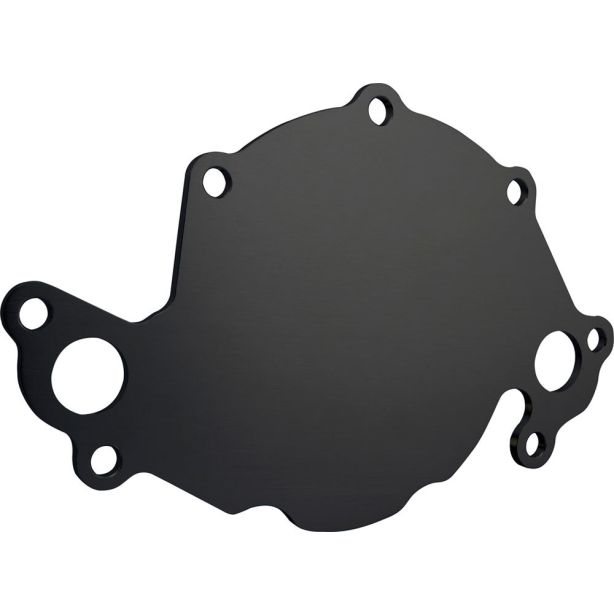 Back Plate Water Pump - SBF Black CVR PERFORMANCE 65022BK