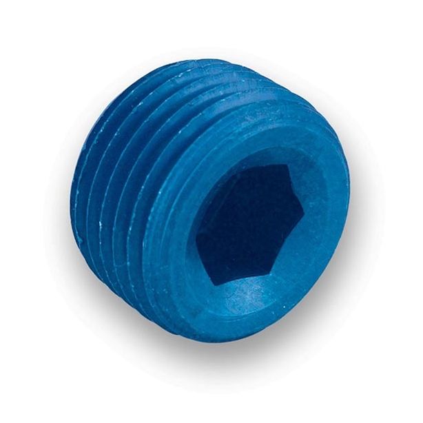 1/2in Pipe Plug  EARLS 993205ERL