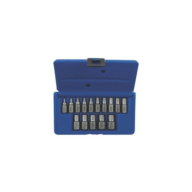 15 Piece Multi Spline Screw
