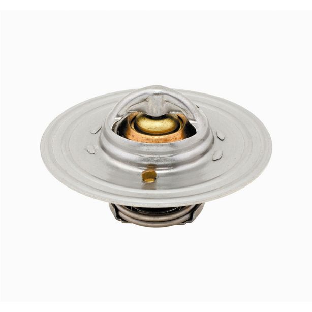Thermostat 160 Deg  MR. GASKET 4366