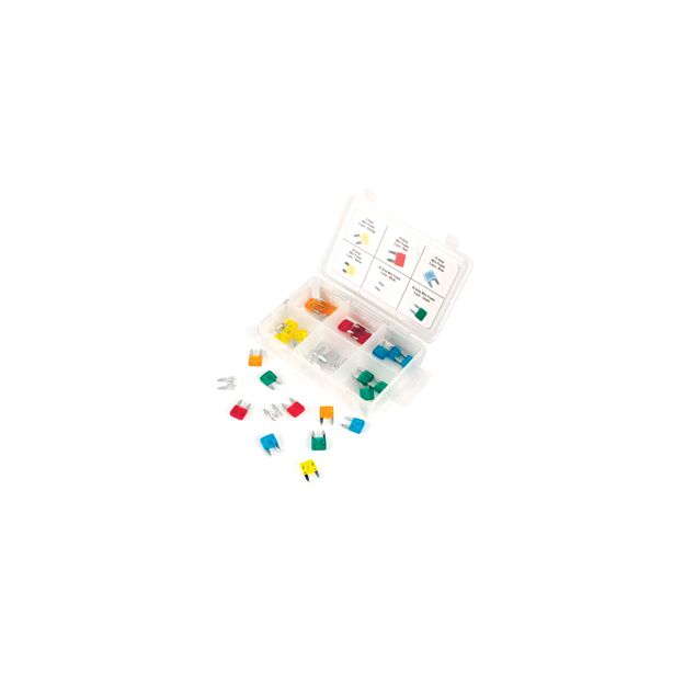 Wilmar W5371 30 Piece Mini Fuse Assortment