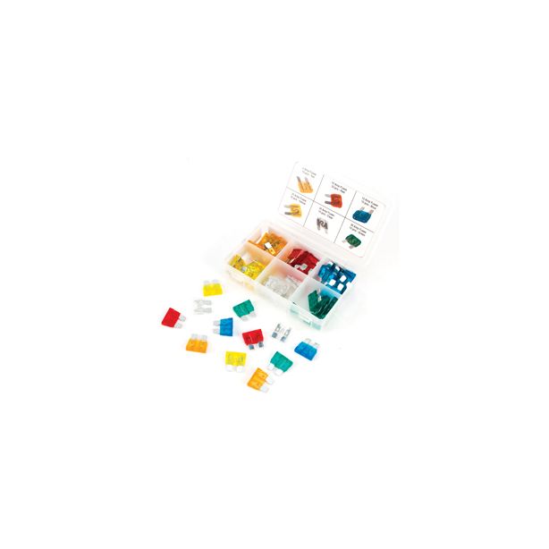 60 Piece Standard Fuse Assortment WILMAR W5373