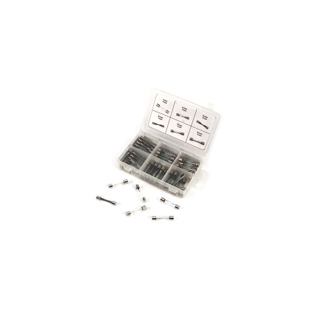 Wilmar W5375 60 Piece AGC Glass Fuse Assortment