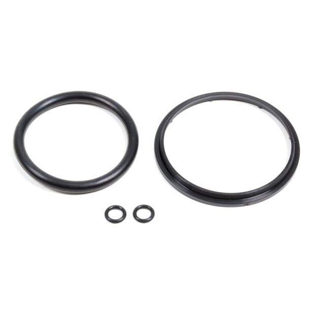 Seal Kit for Tri-Lite Bearings QUARTER MASTER 730101